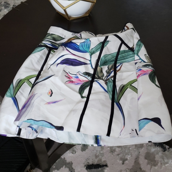 Skirt' coast. - Picture 2 of 4